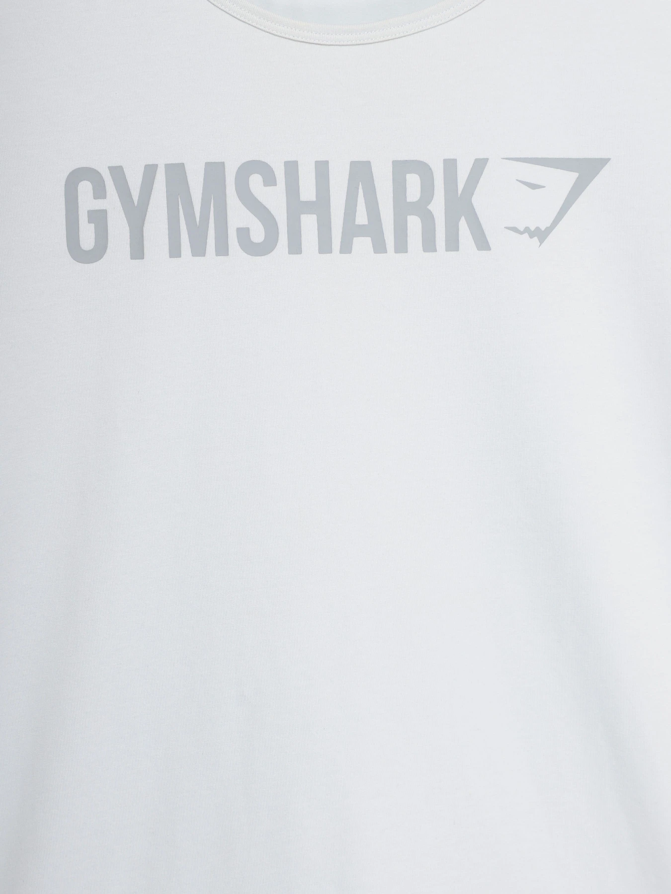 Футболки і поло Gymshark модель GLST010_с.блакитний Футболки і поло Gymshark модель GLST010_с.блакитний Фото