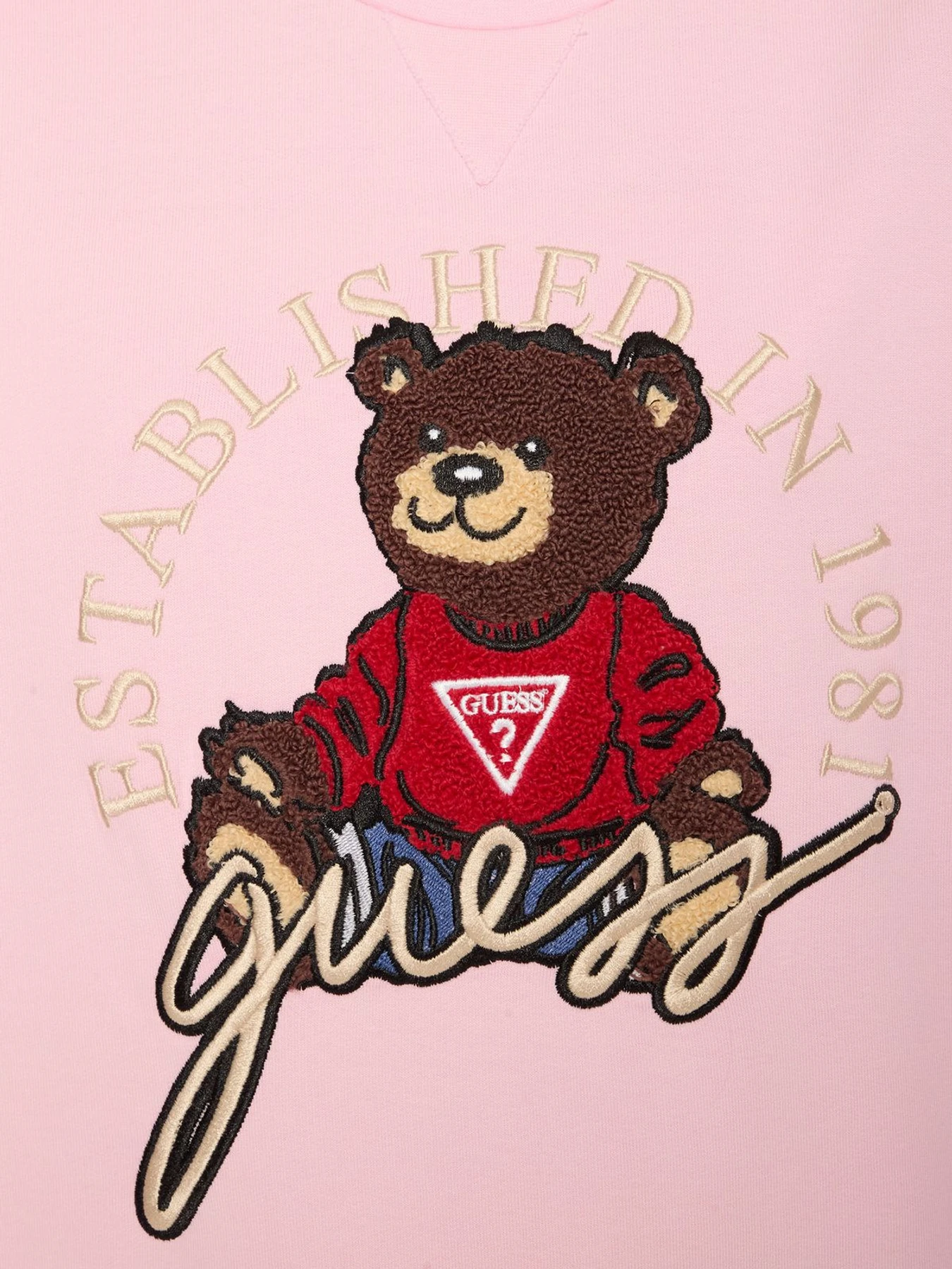 Худі та світшоти GUESS модель H5RJ01.KAD74;G65U Фото