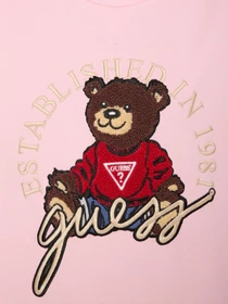 Худі та світшоти GUESS модель H5RJ01.KAD74;G65U Фото