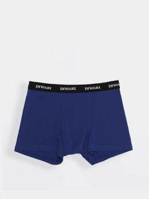 Нижня білизна DiWaRi модель 9С-248ТСП-royal blue Фото