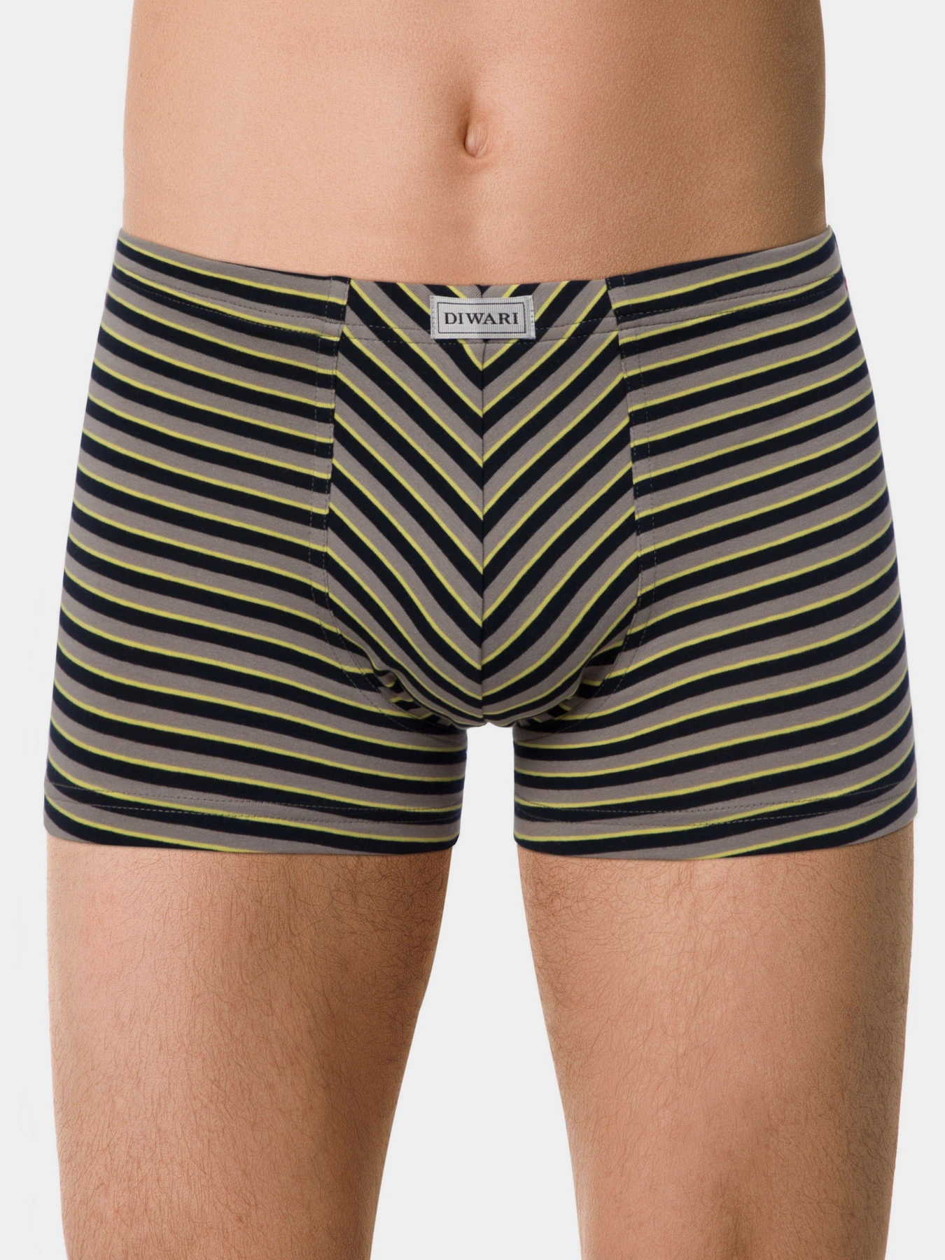 Нижнее белье DiWaRi модель 18С-622ТСП-grey-navy Фото