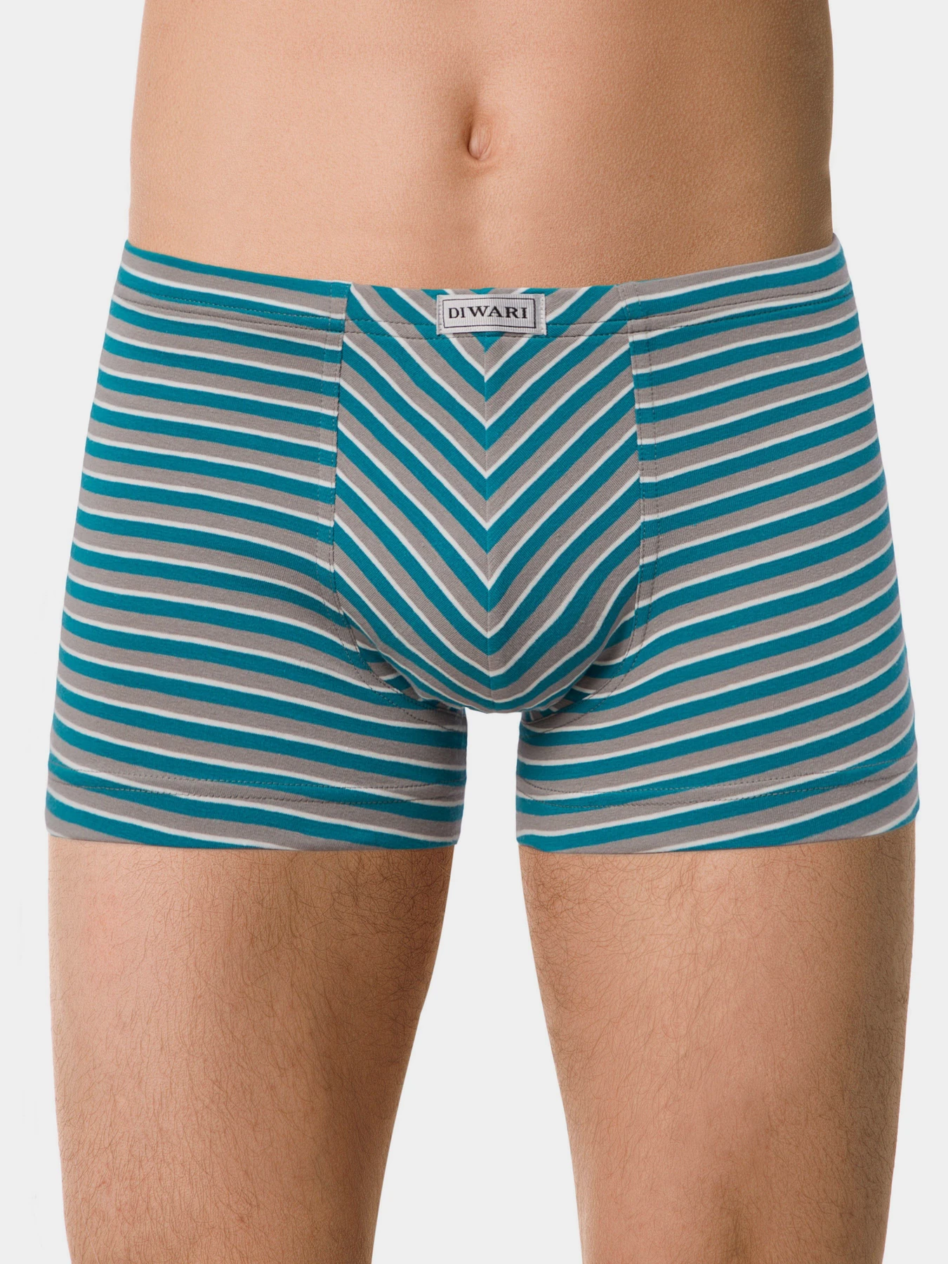 Нижнее белье DiWaRi модель 18С-622ТСП-grey-sea green Фото