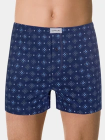 Нижня білизна DiWaRi модель 19С-903ТСП-dark navy Фото