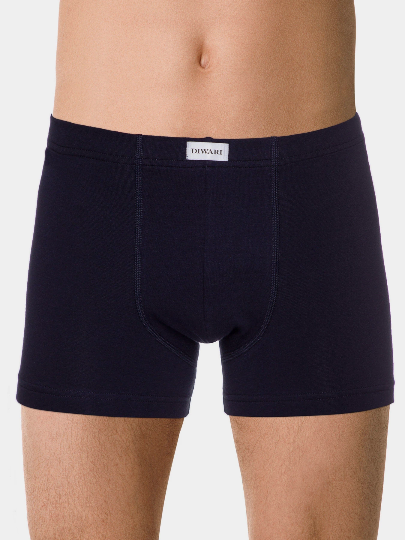 Нижнее белье DiWaRi модель 20С-1073ТСП-dark navy Фото