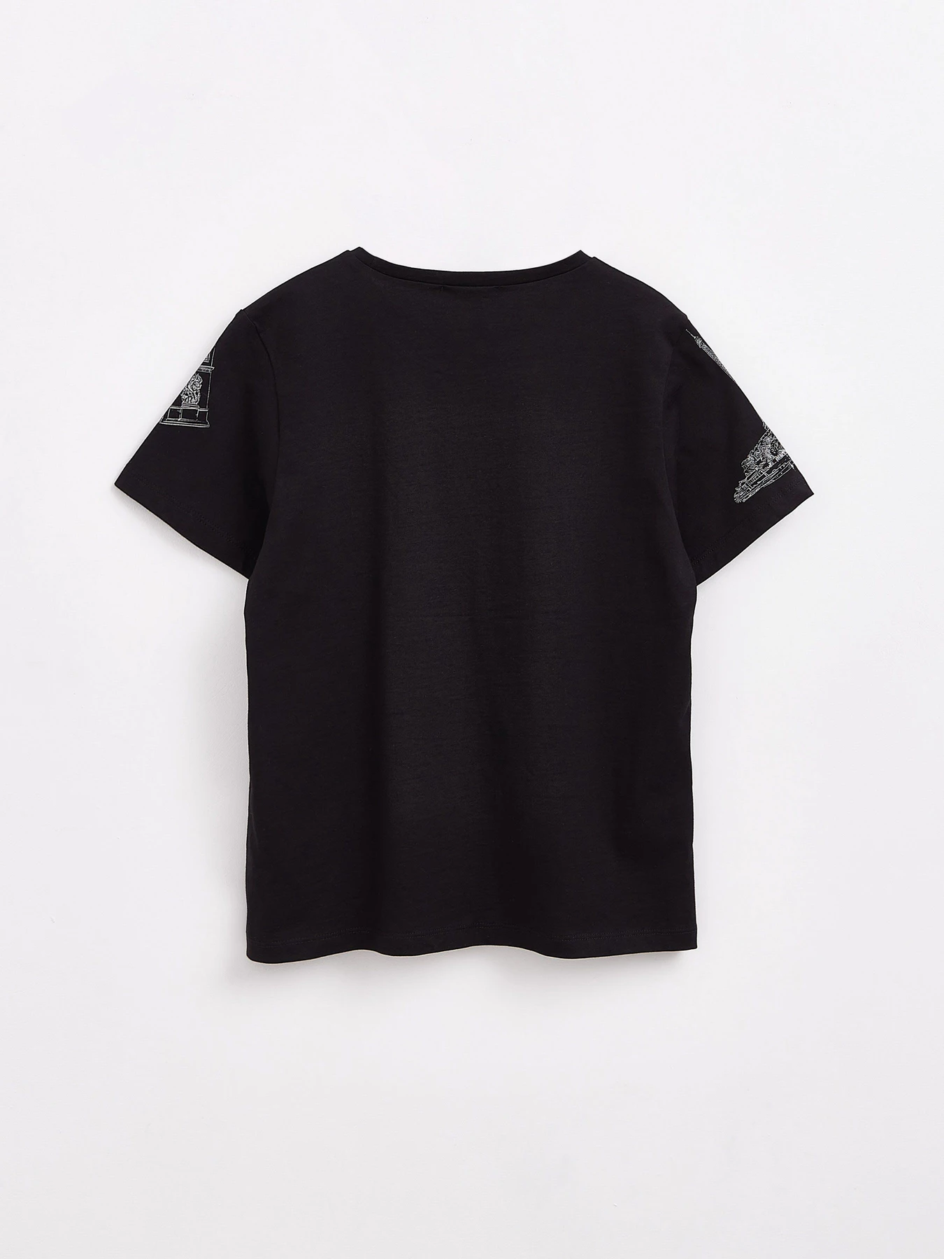 Футболки и поло Conte Elegant Designed for emotions модель 21С-1663ТСП-black Фото