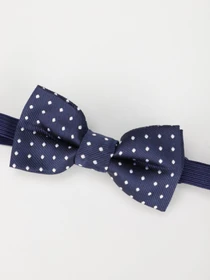 Галстуки и бабочки H&M модель 0746313_т.синій з білим Фото