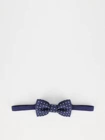 Галстуки и бабочки H&M модель 0746313_т.синій з білим Фото