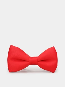 Галстуки и бабочки H&M модель 0521031_червоний Фото