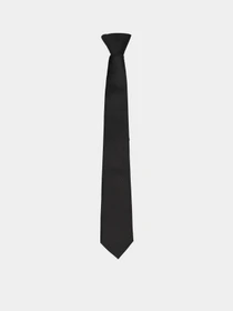 Галстуки и бабочки H&M модель 0632224_чорний Фото