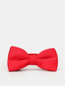 Галстуки и бабочки H&M модель 0350911_червоний Фото