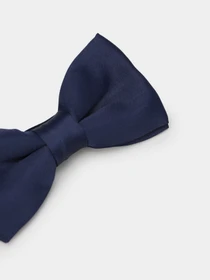 Галстуки и бабочки H&M модель 0367268_т.синій Фото