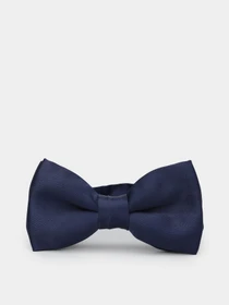 Галстуки и бабочки H&M модель 0367268_т.синій Фото