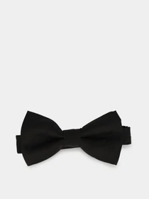 Галстуки и бабочки H&M модель 0430596_чорний Фото