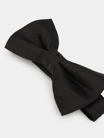 Галстуки и бабочки H&M модель 0430596_чорний Фото