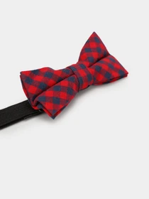 Галстуки и бабочки H&M модель 0503831_ червоний з т.синім Фото