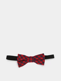 Галстуки и бабочки H&M модель 0503831_ червоний з т.синім Фото