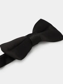 Галстуки и бабочки H&M модель 0633403_чорний Фото