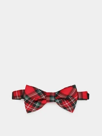 Галстуки и бабочки H&M модель 0732986_червоний комб. Фото