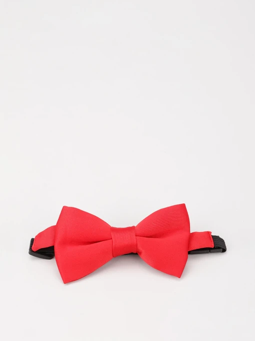 Краватки та метелики H&M модель 07329860_червоний Фото