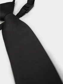 Галстуки и бабочки H&M модель 08724832_чорний Фото