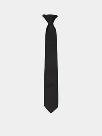 Галстуки и бабочки H&M модель 08724832_чорний Фото