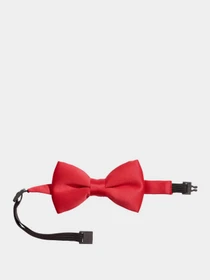 Галстуки и бабочки H&M модель HMA53 Фото