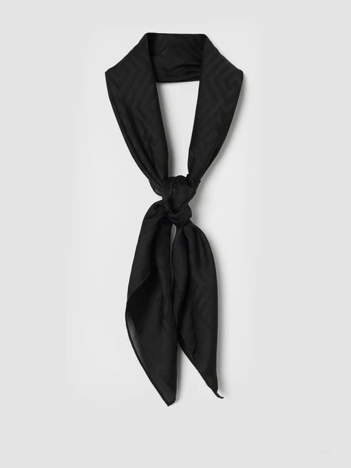 Шарфы и платки H&M модель 0957443_чорний Фото