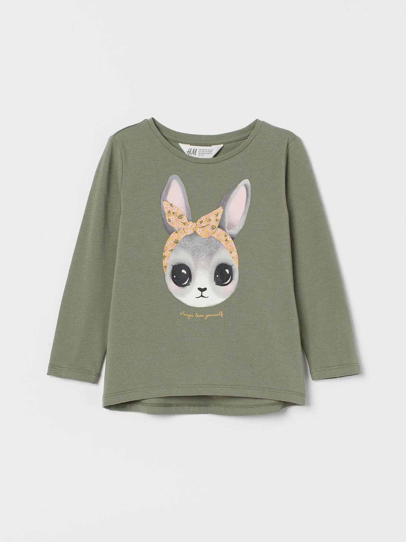 Худи и свитшоты H&M модель 0870525_хакі комб. Фото