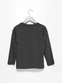 Худи и свитшоты H&M модель 0749175_т.сірий Фото