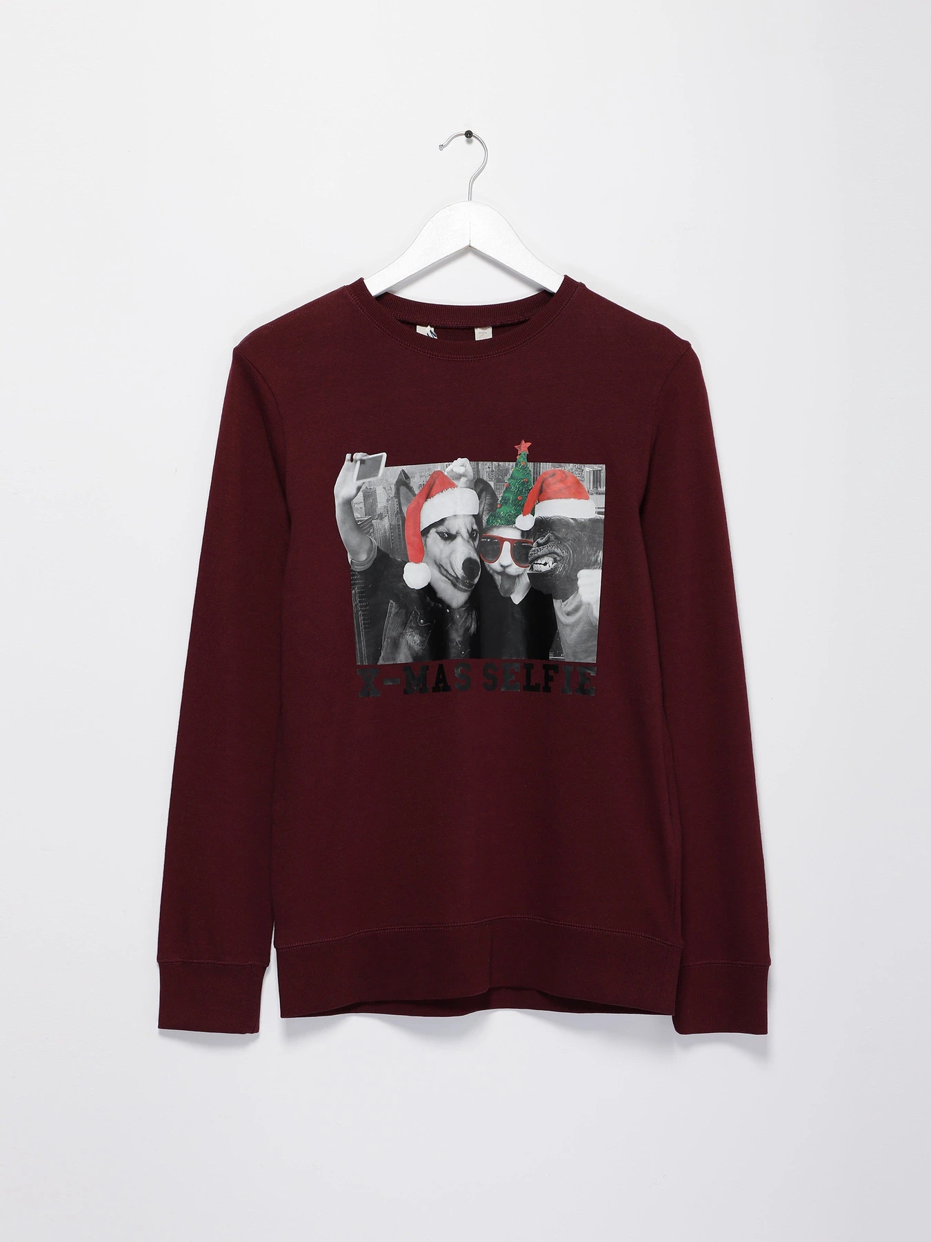 Худі та світшоти H&M модель 03916324_т.бордовий Фото