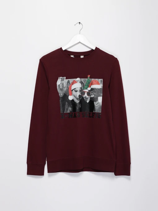 Худі та світшоти H&M модель 03916324_т.бордовий Фото