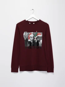 Худі та світшоти H&M модель 03916324_т.бордовий Фото