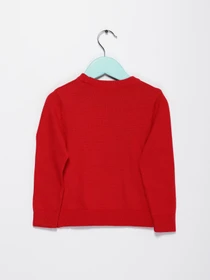 Свитры и кардиганы H&M модель 0696991_червоний комб. Фото
