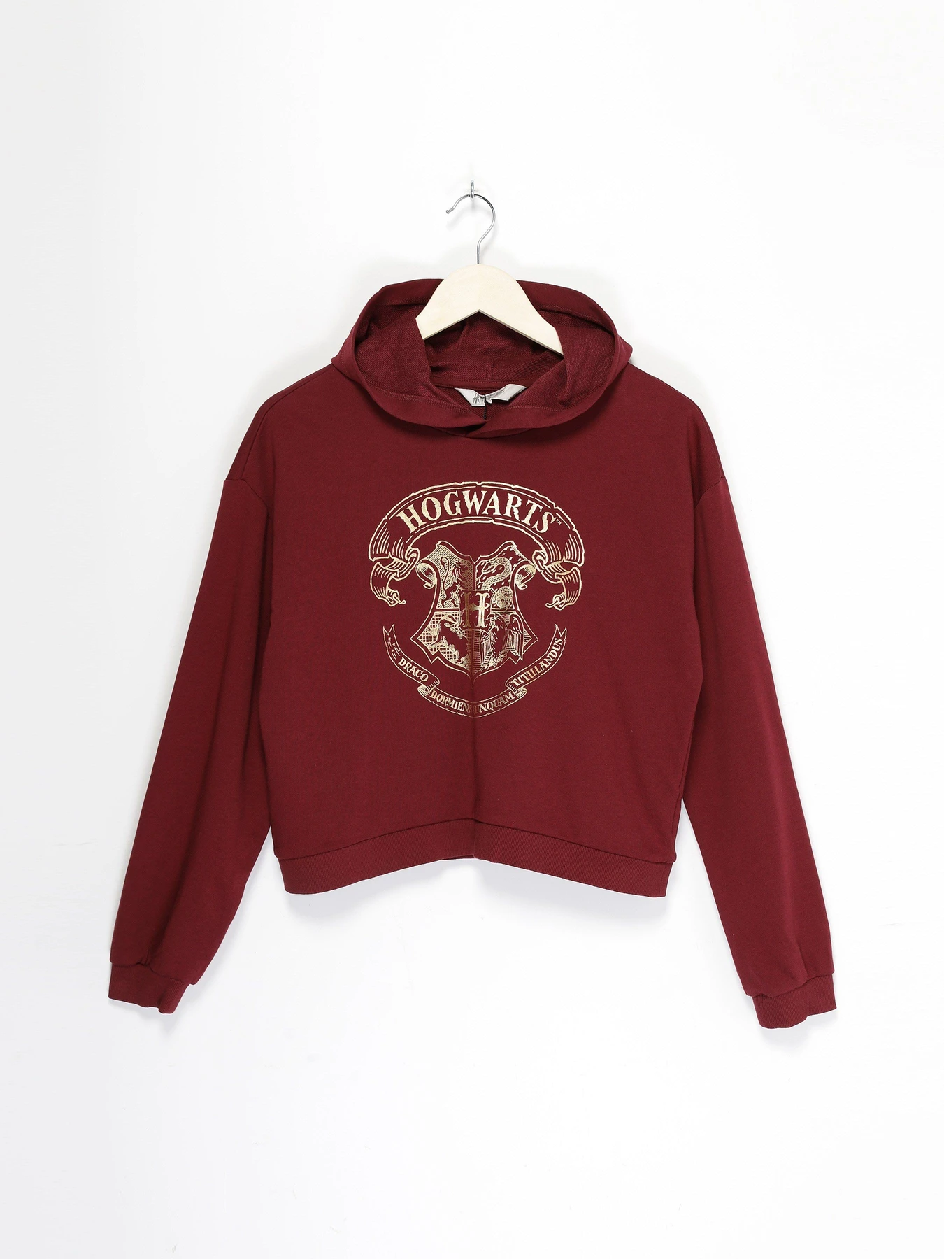 Худи и свитшоты H&M модель 08167131_бордовий Худи и свитшоты H&M модель 08167131_бордовий Фото