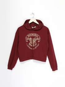 Худи и свитшоты H&M модель 08167131_бордовий Фото