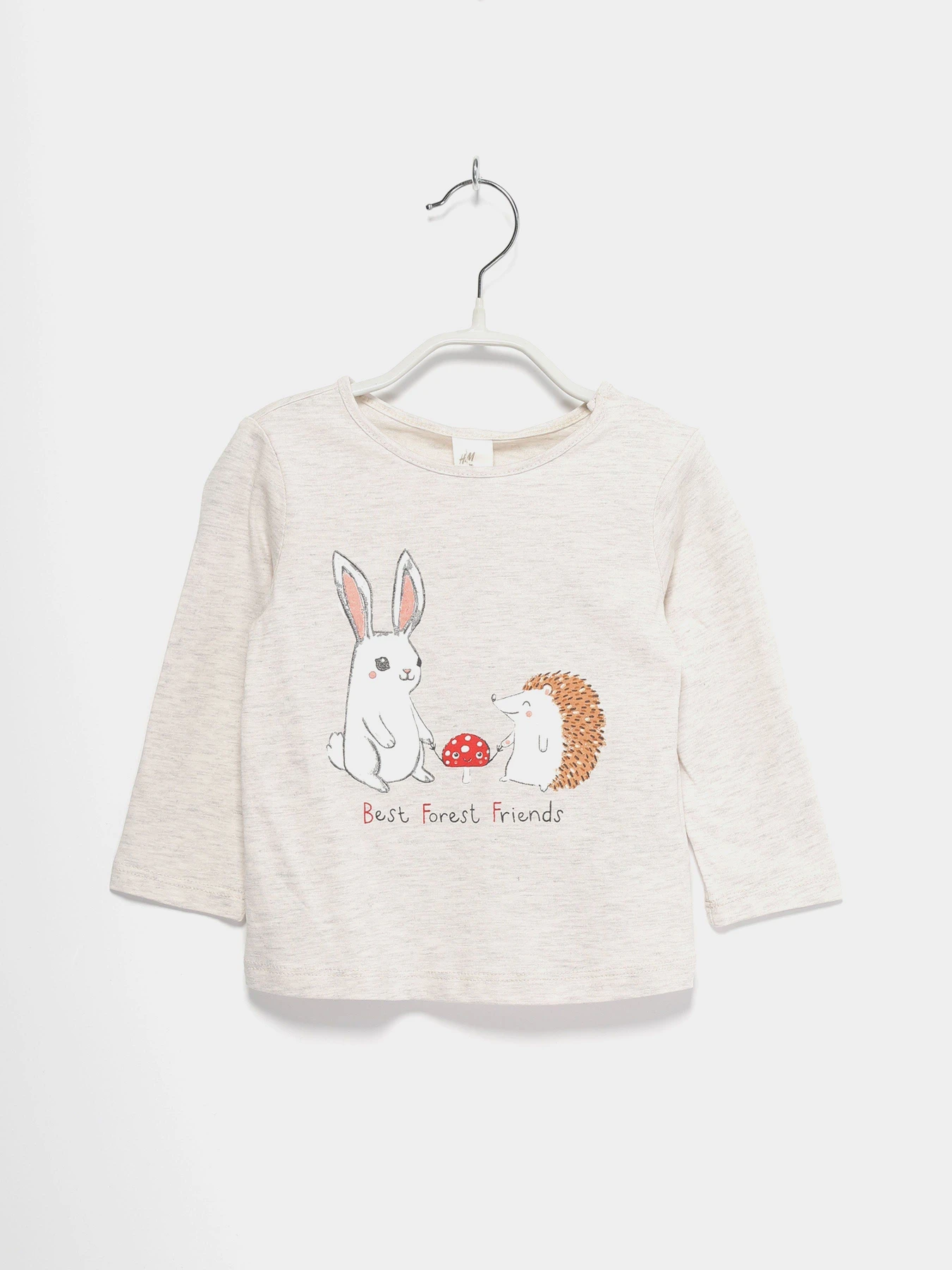 Худи и свитшоты H&M модель 0824146_с.сірий комб. Фото