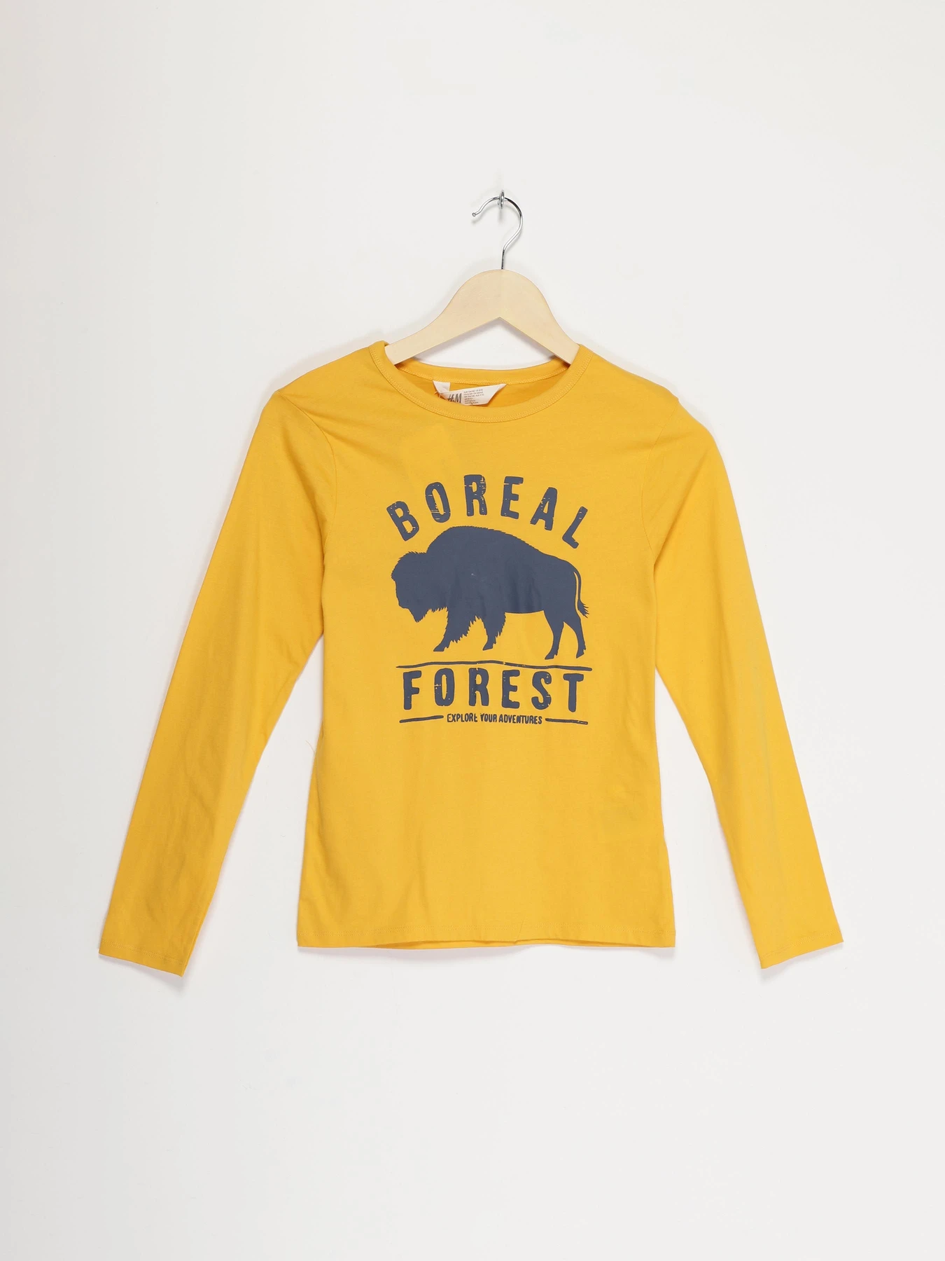 Худі та світшоти H&M модель 0874837_жовтий комб. Фото