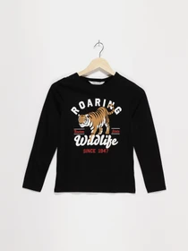 Худи и свитшоты H&M модель 0874837_чорний комб. Фото