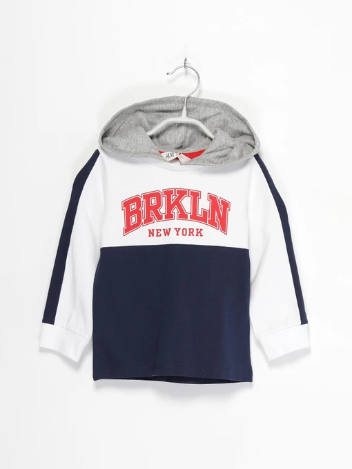 Худи и свитшоты H&M модель 0877079_комб. Фото