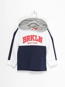 Худи и свитшоты H&M модель 0877079_комб. Фото