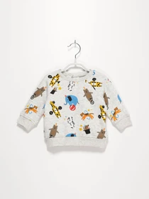 Худи и свитшоты H&M модель 0652853_с.сірий комб. Фото