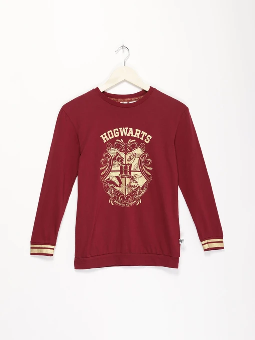 Худі та світшоти H&M модель 0910423_бордовий комб. Фото