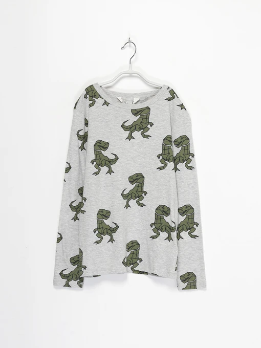 Худі та світшоти H&M модель 0934069_сірий комб. Фото