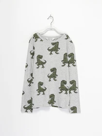 Худи и свитшоты H&M модель 0934069_сірий комб. Фото