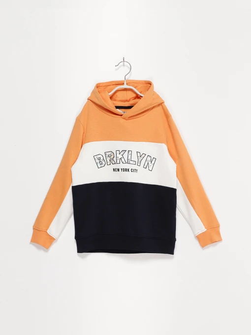 Худи и свитшоты H&M модель 0934161_комб. Фото