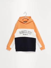 Худи и свитшоты H&M модель 0934161_комб. Фото