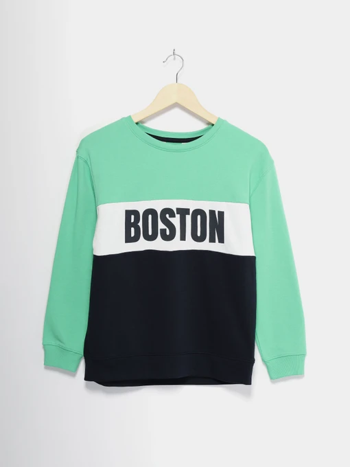 Худи и свитшоты H&M модель 09365493_комб. Фото