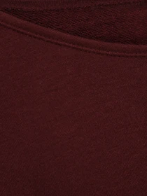 Худі та світшоти H&M модель 0438333_т.бордовий Фото