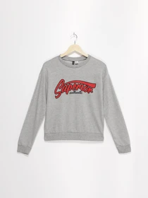 Худі та світшоти H&M модель 0570474_сірий комб. Фото