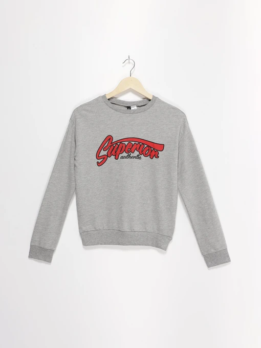 Худі та світшоти H&M модель 05704741_сірий комб. Фото